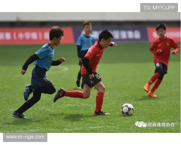 新疆青少年格斗参与度上升，民间俱乐部助力人才培养